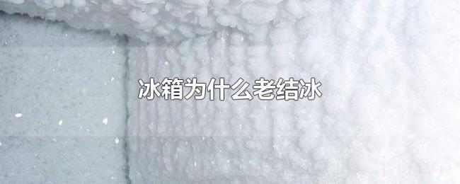 冰箱为什么老结冰