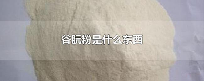 谷朊粉是什么东西 谷朊粉是什么东西