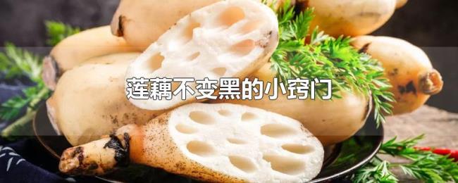 莲藕不变黑的小窍门 莲藕不变黑的小窍门