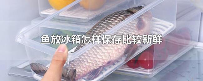 鱼放冰箱怎样保存比较新鲜 鱼放冰箱怎样保存比较新鲜
