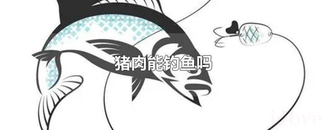 猪肉能钓鱼吗 猪肉能钓鱼吗