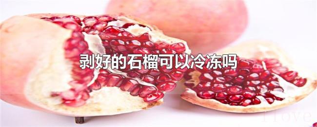 剥好的石榴可以冷冻吗 剥好的石榴可以冷冻吗