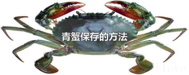 青蟹保存的方法