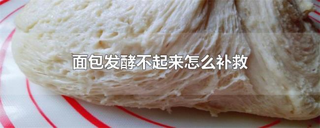面包发酵不起来怎么补救