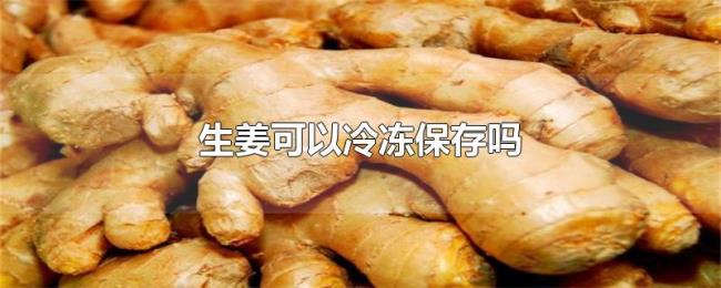 生姜可以冷冻保存吗