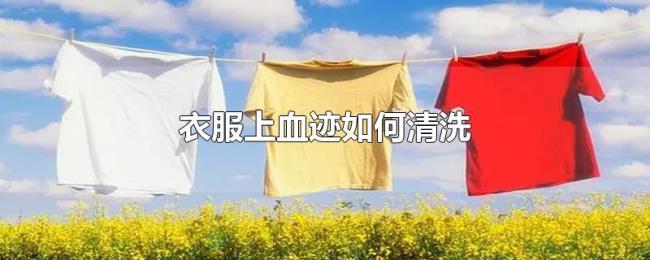 衣服上血迹如何清洗
