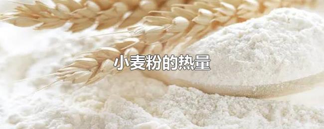 小麦粉的热量 小麦粉的热量