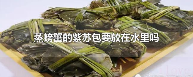 蒸螃蟹的紫苏包要放在水里吗 蒸螃蟹的紫苏包要放在水里吗
