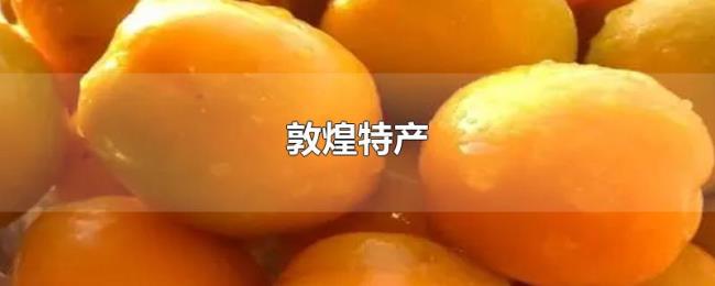 敦煌特产 敦煌特产