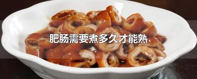 肥肠需要煮多久才能熟