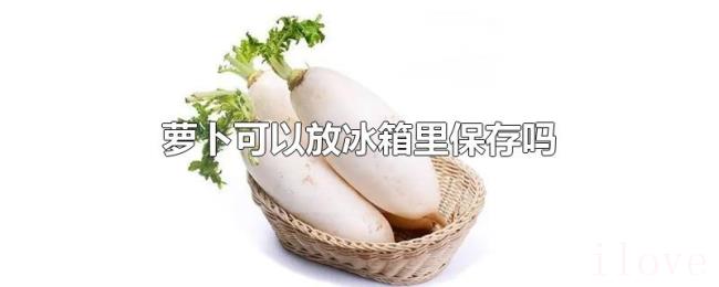 萝卜可以放冰箱里保存吗 萝卜可以放冰箱里保存吗