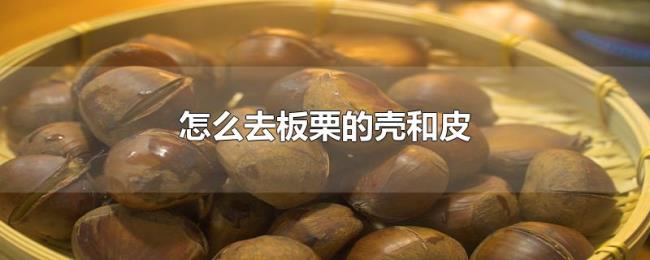 怎么去板栗的壳和皮