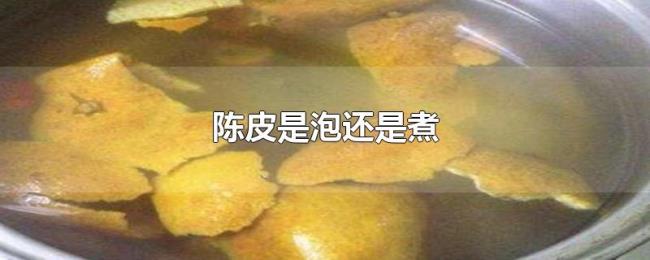 陈皮是泡还是煮