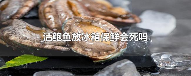 活鲍鱼放冰箱保鲜会死吗 活鲍鱼放冰箱保鲜会死吗