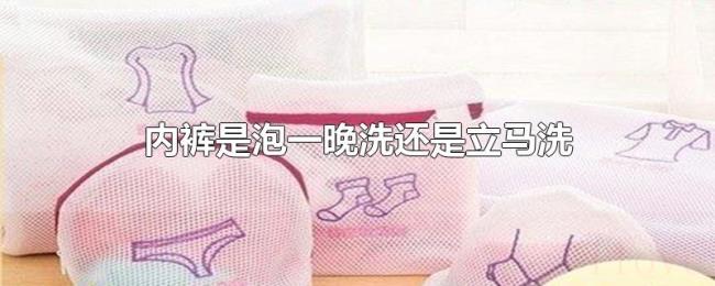内裤是泡一晚洗还是立马洗 内裤是泡一晚洗还是立马洗