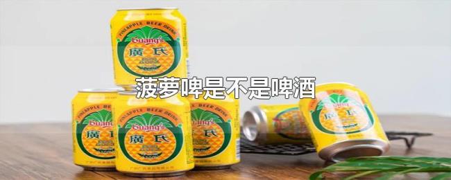 菠萝啤是不是啤酒 菠萝啤是不是啤酒