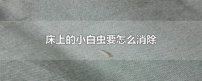 床上的小白虫要怎么消除 床上的小白虫要怎么消除