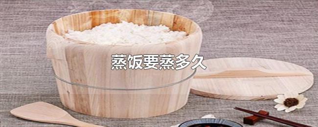 蒸饭要蒸多久