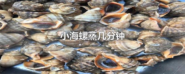 小海螺蒸几分钟