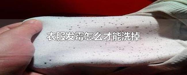衣服发霉怎么才能洗掉