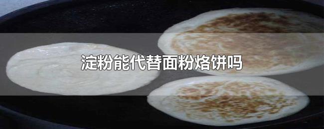 淀粉能代替面粉烙饼吗 淀粉能代替面粉烙饼吗