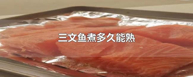 三文鱼煮多久能熟