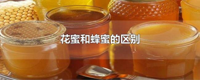 花蜜和蜂蜜的区别