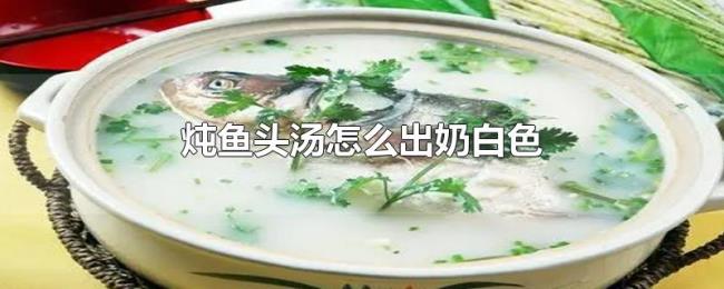 炖鱼头汤怎么出奶白色