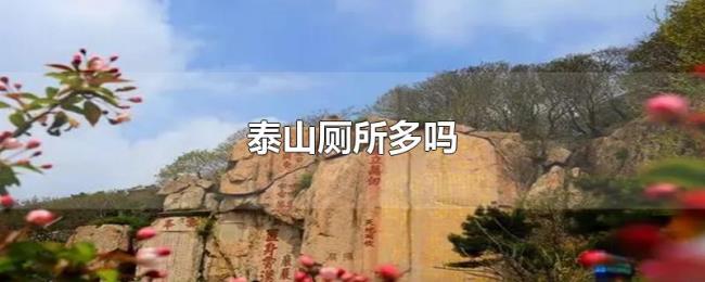泰山厕所多吗 泰山厕所多吗