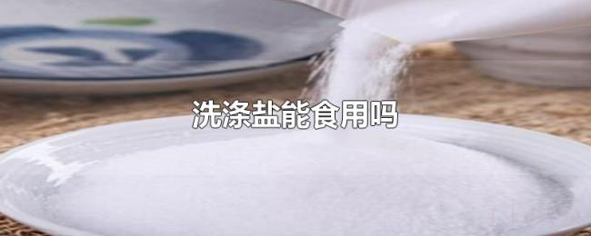 洗涤盐能食用吗 洗涤盐能食用吗