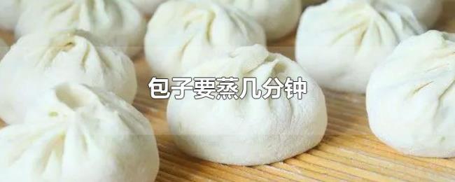 包子要蒸几分钟 包子要蒸几分钟