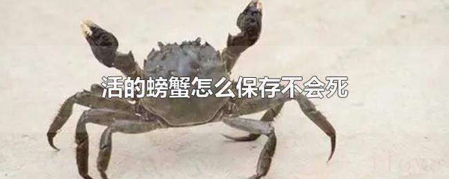 活的螃蟹怎么保存不会死 活的螃蟹怎么保存不会死