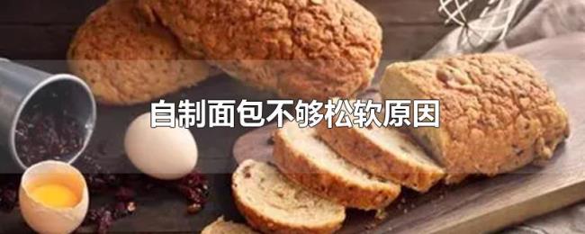 自制面包不够松软原因 自制面包不够松软原因