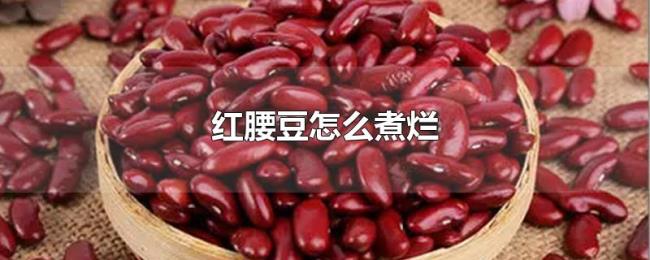 红腰豆怎么煮烂