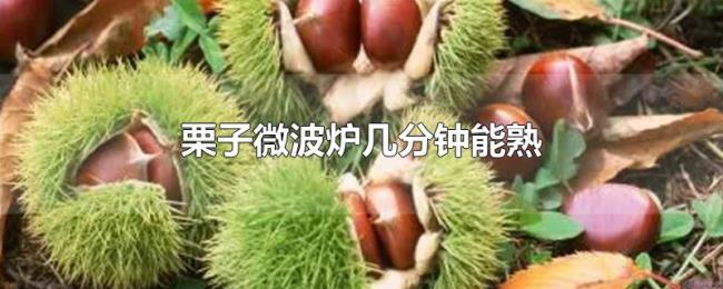 栗子微波炉几分钟能熟 栗子微波炉几分钟能熟