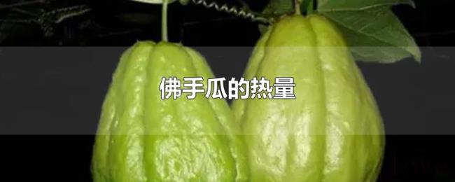 佛手瓜的热量