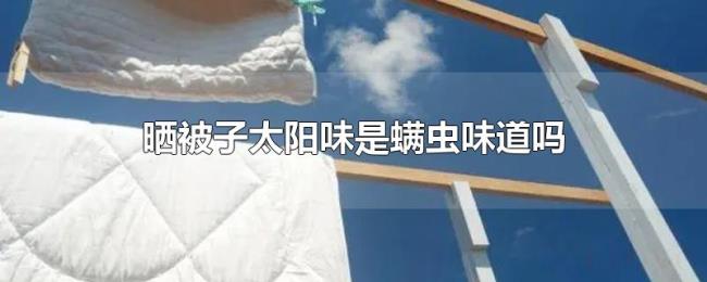 晒被子太阳味是螨虫味道吗
