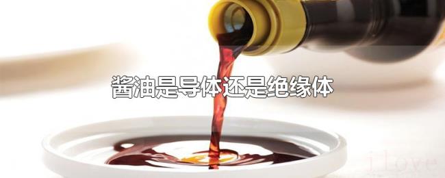 酱油是导体还是绝缘体