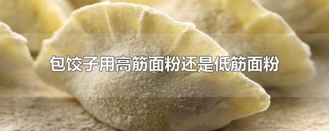 包饺子用高筋面粉还是低筋面粉 包饺子用高筋面粉还是低筋面粉