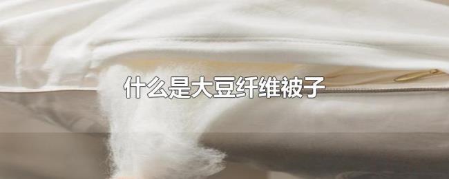 什么是大豆纤维被子