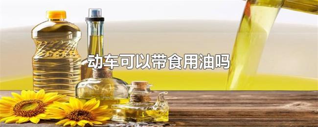 动车可以带食用油吗 动车可以带食用油吗