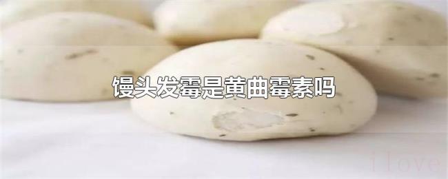 馒头发霉是黄曲霉素吗
