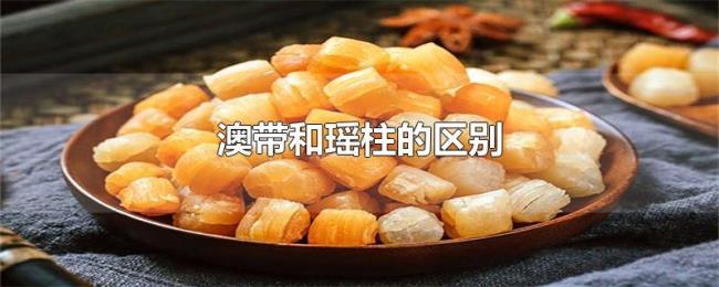 澳带和瑶柱的区别 澳带和瑶柱的区别