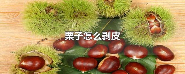栗子怎么剥皮 栗子怎么剥皮