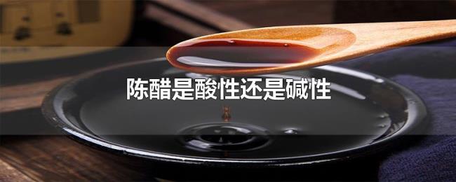 陈醋是酸性还是碱性
