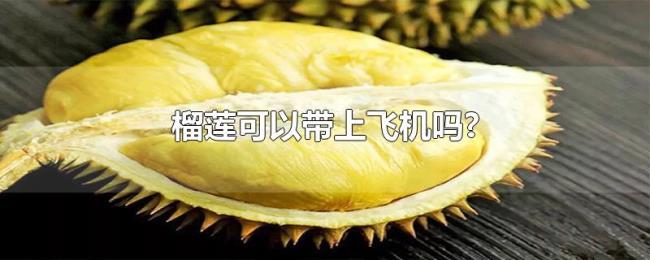 榴莲可以带上飞机吗?