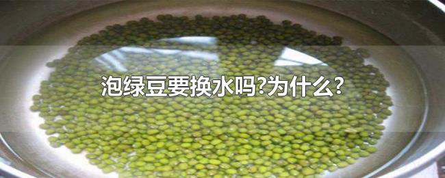 泡绿豆要换水吗?为什么? 泡绿豆要换水吗?为什么?