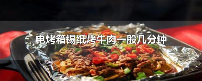 电烤箱锡纸烤牛肉一般几分钟 电烤箱锡纸烤牛肉一般几分钟