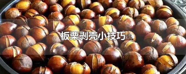 板栗剥壳小技巧