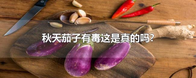 秋天茄子有毒这是真的吗? 秋天茄子有毒这是真的吗?